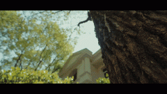 每栋楼宇的利用性质是