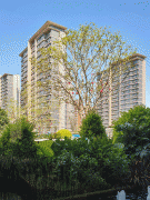 三四线城市的猛烈